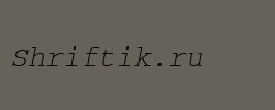 CourierKOICTT Italic  